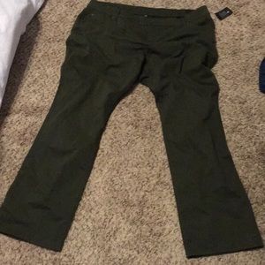New with tags! Green Kut from the Kloth plus pants
